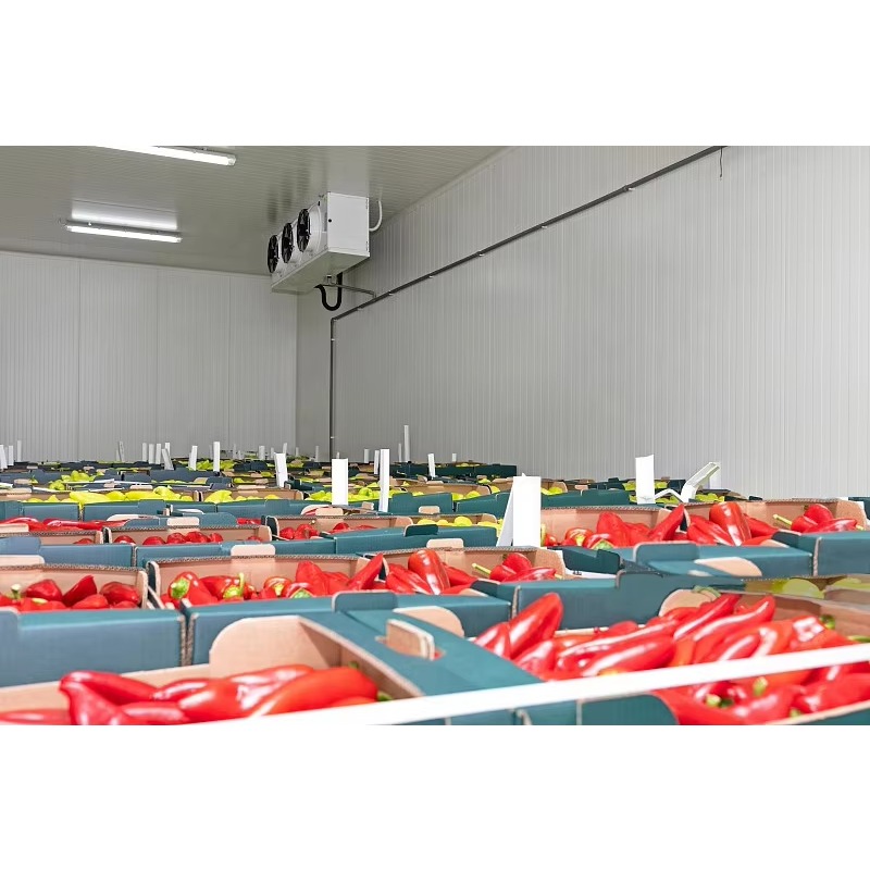 غرفة تبريد صناعية مخصصة للبيع  - مراجعة Food Storage Keep Hot وسعره